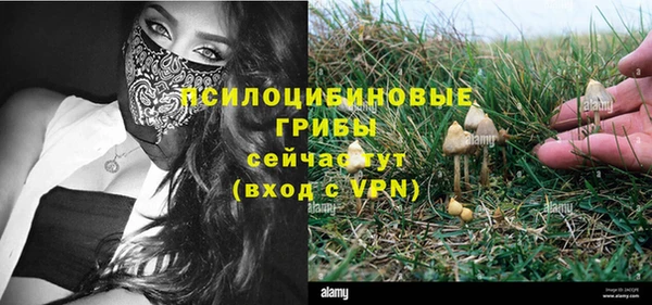 меф Вяземский