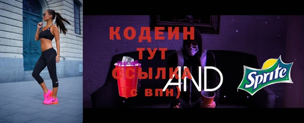 меф Вяземский
