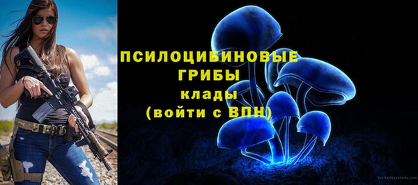меф Вяземский