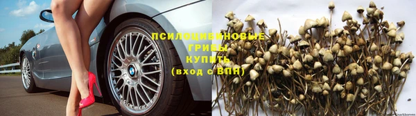 СК Вязники