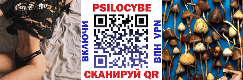 Псилоцибиновые грибы Cubensis  Находка 